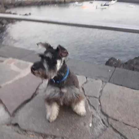 בית אירוח Surf Harbour *