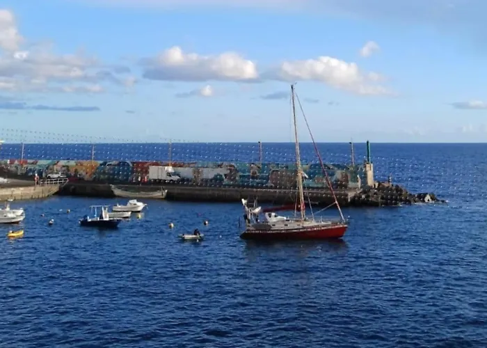 Surf Harbour