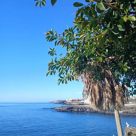 Surf Harbour منزل للإقامة